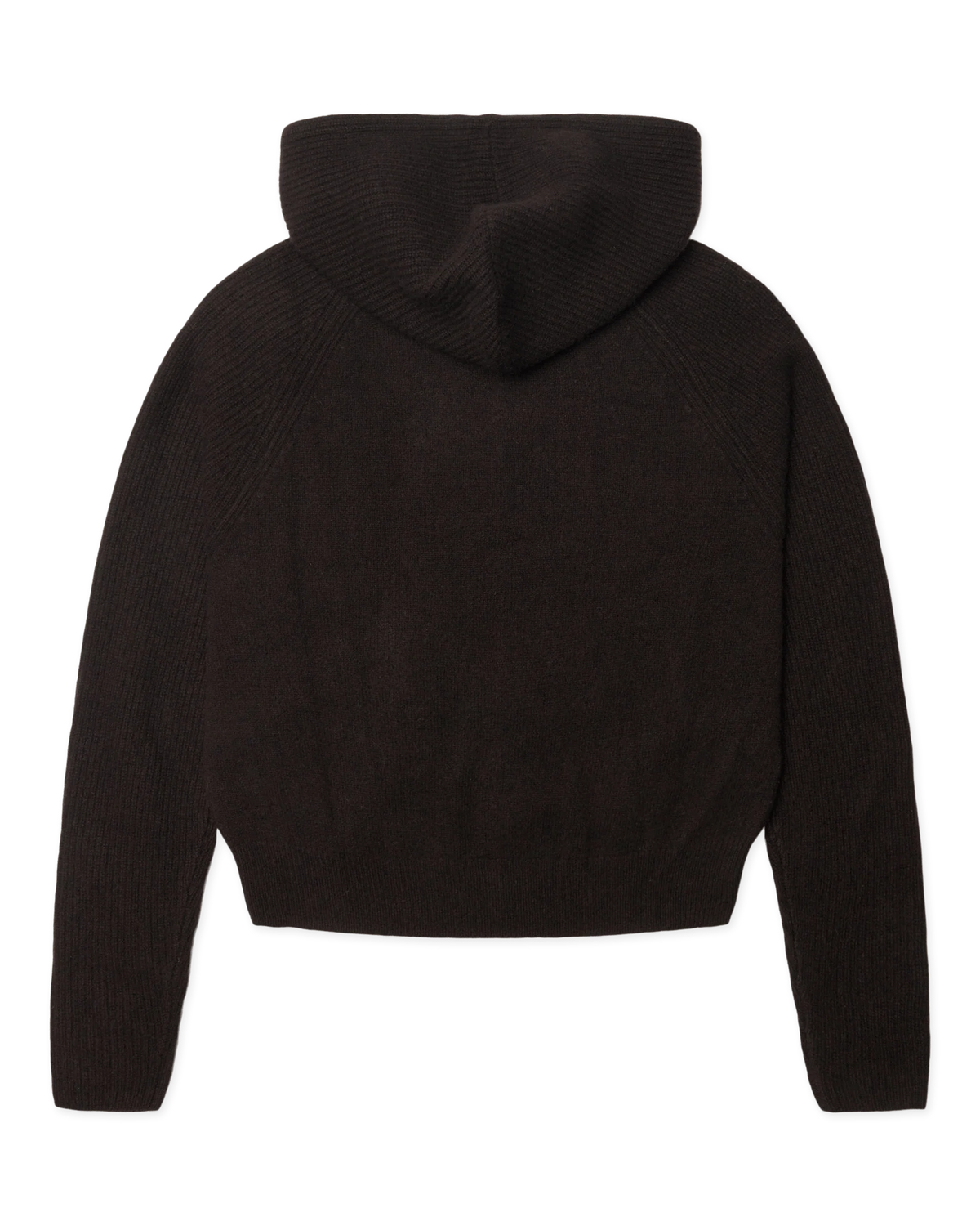 Sweat À Capuche WB Eve - Woodbird