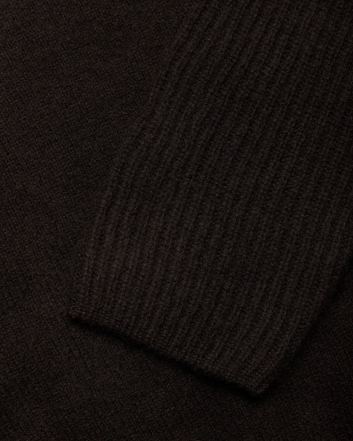 Sweat À Capuche WB Eve - Woodbird